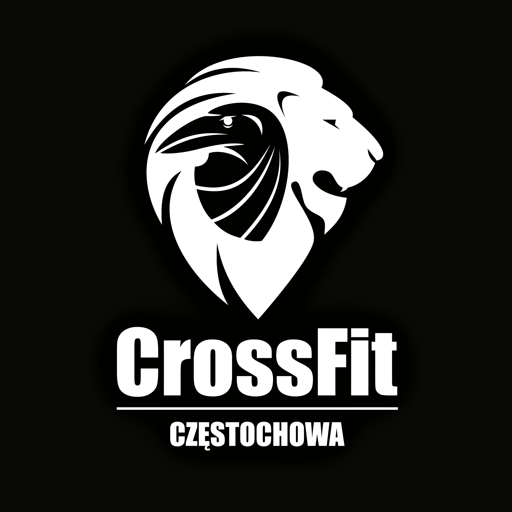 CrossFit Częstochowa